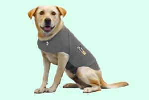 Thunder Jacket for Dogs Reviews – Stress Relief for Your Dog
