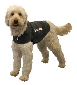 image of thunder jcaket dog anxiety jacket