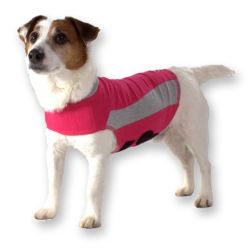 image of dog thunder jacket for dog anxiety